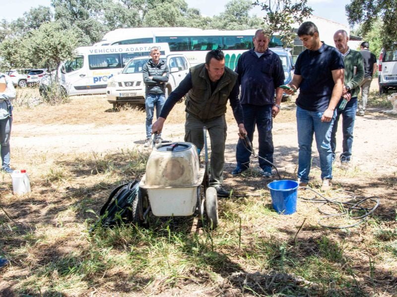 Fundación PRODE, contra la seca de encinas